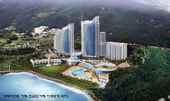 자료 제공 : 대명리조트