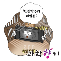 팔만대장경 1천 년 장수의 비밀은?