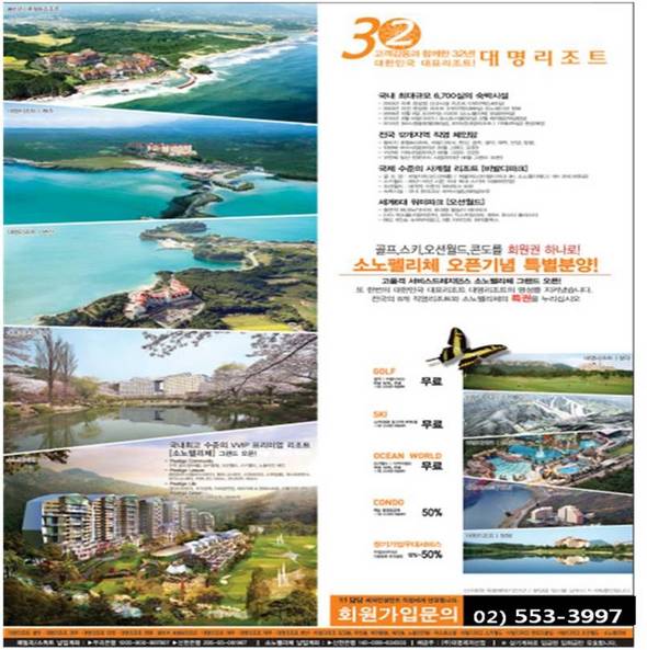자료 제공 : 대명리조트