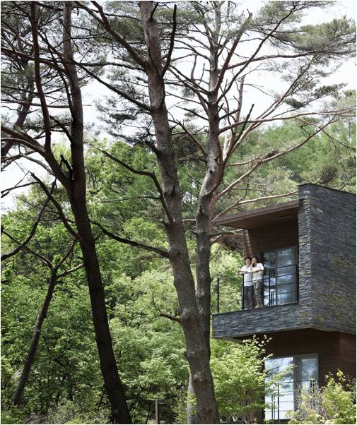 자료 제공 : 리솜리조트