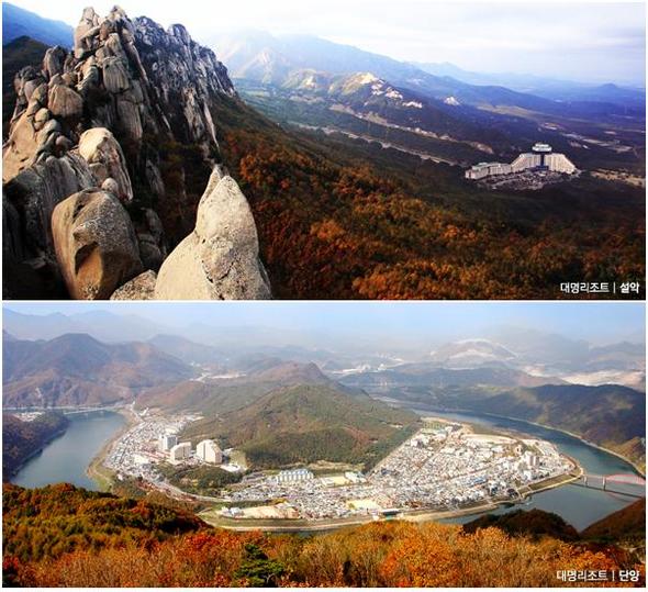 자료 제공 : 대명리조트