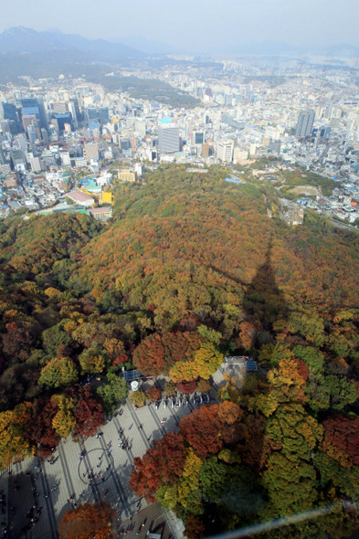  23일 오후 서울 용산구 남산공원 엔서울타워에서 바라본 남산 일대가 알록달록 붉게 물들어 있다. 이날 오후 들어, 단풍이 절정에 이른 전국 유명 산으로 단풍 구경을 갔다 돌아오는 차량들이 몰리면서, 서울 방향 고속도로 곳곳에서 정체가 빚어졌다.  김태형 기자 xogud555@hani.co.kr