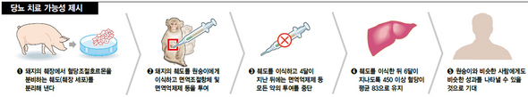(※ 클릭하면 더 큰 이미지를 볼 수 있습니다.)
