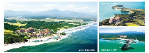 자료 제공 : 대명리조트