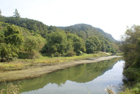 충남 금산 천내습지