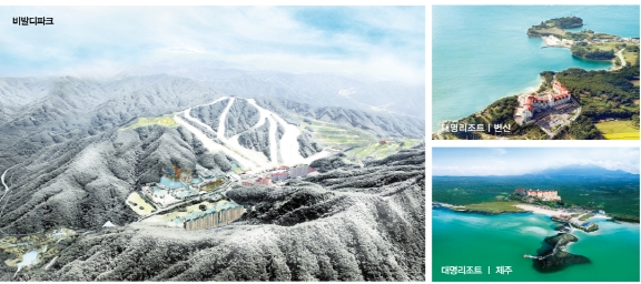 자료 제공 : 대명리조트