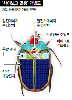 사이보그 곤충 개념도