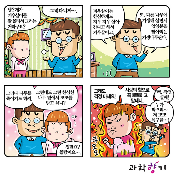 크리스마스, 사랑을 이뤄주는 나무가 있다!