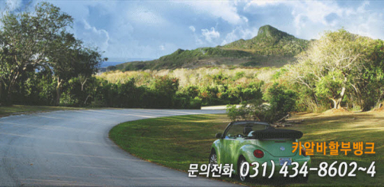 자료제공 : 카알바할부금융