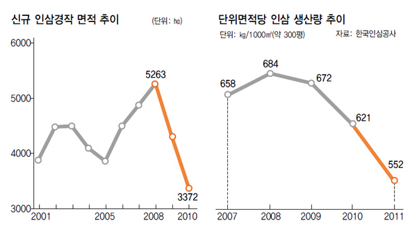 신규 인삼경작 면적 추이/단위면적당 인삼 생산량 추이