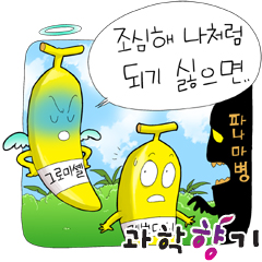 바나나가 멸종위기에 빠졌다고?