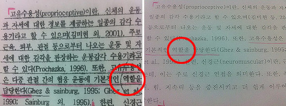 왼쪽 사진은 2002년 김아무개 동아대 교수의 논문 4쪽. 오른쪽 사진은 김백수씨의 박사학위 논문 8쪽. ‘역할울’ 이라는 오타까지 똑같은 것을 확인할 수 있다.