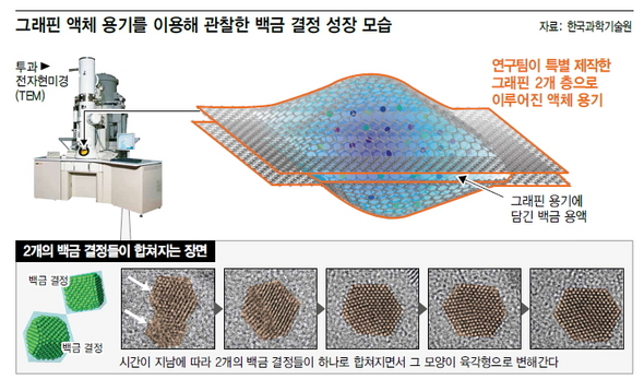그래핀 액체 용기를 이용해 관찰한 백금 결정 성장 모습