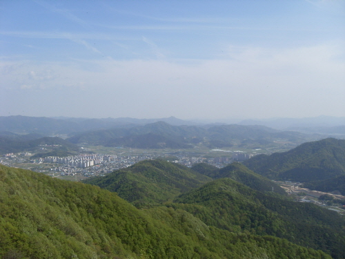 자료 제공 : 화순군청