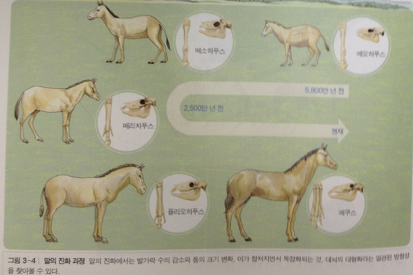 상상아카데미, 고등학교 과학