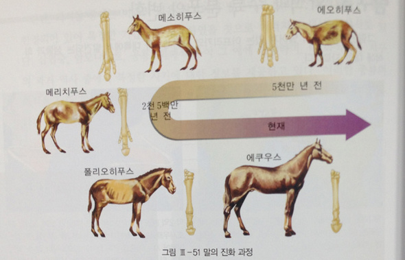 교학사, 고등학교 과학