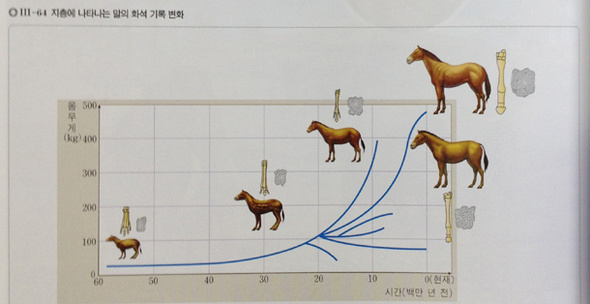 천재교육, 고등학교 과학