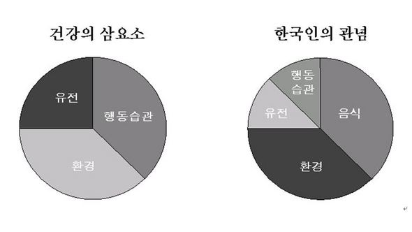 한국인의 건강에 관한 음식관