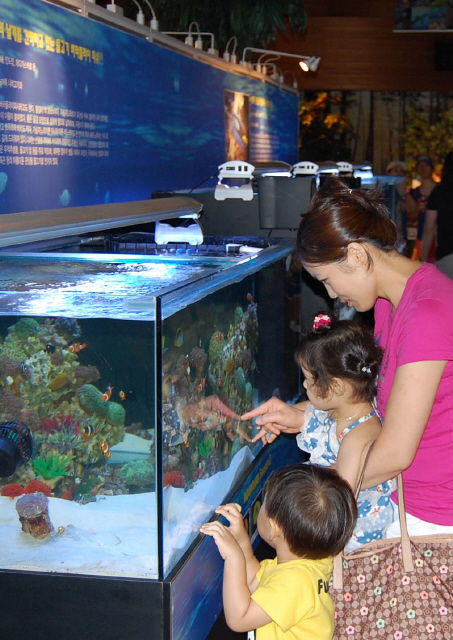 여름방학을 맞아 지난달 31일 신세계백화점 의정부점에 마련된 ‘아쿠아리움 대탐험전’을 찾은 한 학부모와 자녀들이 바다 생물들을 살펴보고 있다.  신세계백화점 제공
