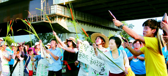 4대강 사업 마지막 현장인 경기도 양평군 두물머리 유기농지에 대한 행정대집행을 한다고 정부가 밝힌 6일 아침, 이에 반대하는 농민과 종교인, 시민단체회원들이 공사현장 들머리에서 습지식물 부들을 들고 공사 철회를 촉구하고 있다.  양평/이종근 기자 root2@hani.co.kr