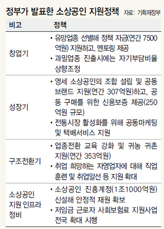 정부가 발표한 소상공인 지원정책