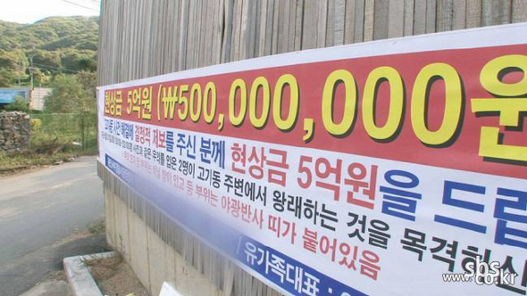 그것이 알고 싶다(에스비에스 밤 11시)