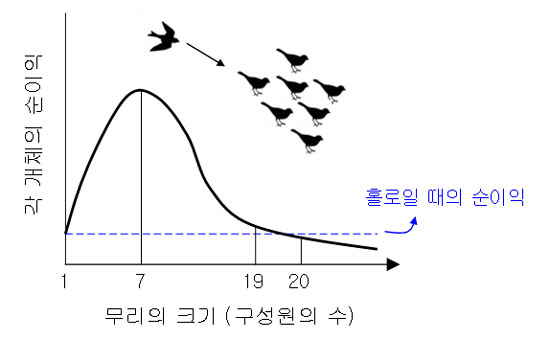 크기가 최적인 무리는 새로운 개체의 이기성 때문에 불안정할 수 밖에 없다. 출처/ [Sibly RM (1983), 아래 주[5]]에서 변형됨