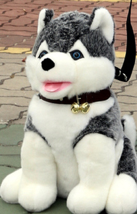 봉제인형 ‘브라우니’
