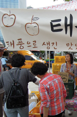 쌈지농부는 올 6월 초부터 지난달 중순까지 매주 토요일 오후마다 서울 광화문 시민열린마당에서 ‘2012 서울 농부의 시장’을 운영했다.  쌈지농부 제공