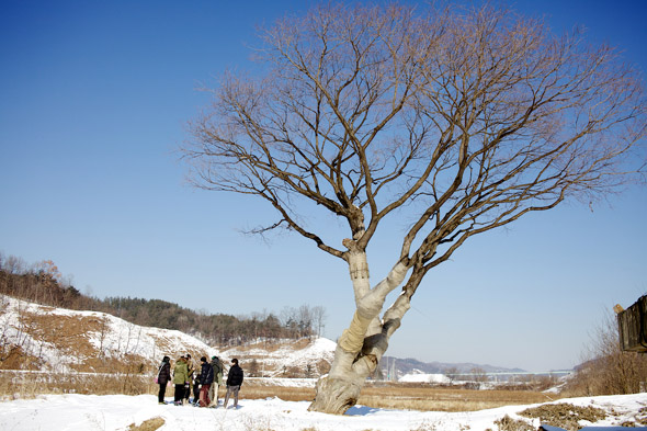 김성만(채색)의 지율스님과 함께 한 낙동강 답사기 ② 영주댐 수몰지의 눈물 - 이전을 위해 교통사고가 난 환자처럼 붕대를 칭칭 감고 있다.  4대강