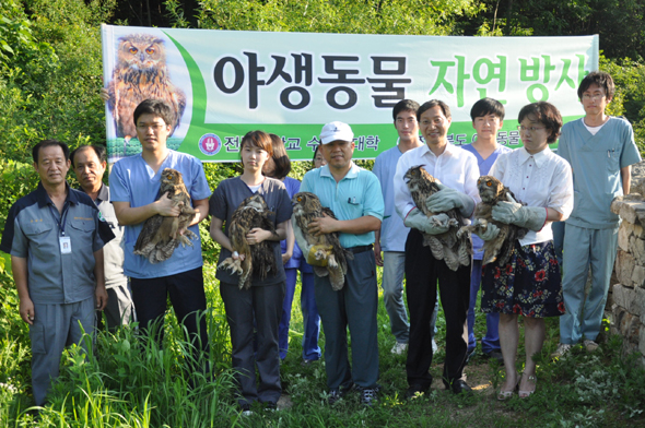전북대학교 수의과대학 야생동물의학실 학생 등이 2011년 7월 전북 완주군 소양면 위봉사 근처에 서 치료를 끝낸 야생 황조롱이를 풀어주기 전 기념사진을 찍고 있다. 전북대 제공
