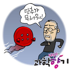 과학향기