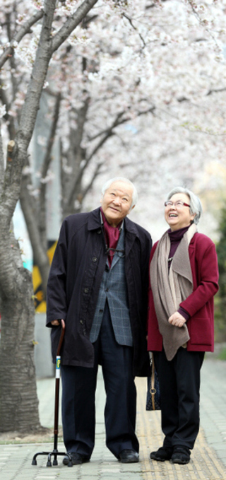 어느새 새하얘진 두 사람의 머리처럼 하얀 벚꽃이 활짝 핀 서울 마포구 토정로에 선 연극연출가 임영웅(왼쪽)씨와 번역가 오증자씨 부부. 부인이 번역한 연극을 남편이 연출하기를 53년째 이어오고 있는 이 부부는 한국 현대연극의 산실이 된 산울림 소극장을 운영하며 수많은 화제작과 스타 배우, 연출가를 배출했다. 김태형 기자 xogud555@hani.co.kr