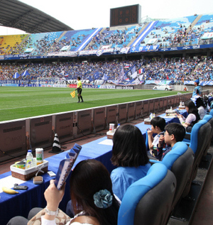 프로축구 수원 경기장에는 그라운드에서 선수들의 움직임을 볼 수 있는 ‘블루시트’가 마련돼 있다. 수원 제공