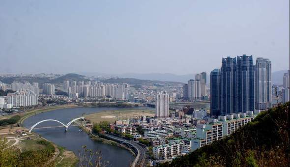 태화강 