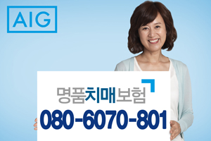 자료 제공 : AIG손해보험 주식회사