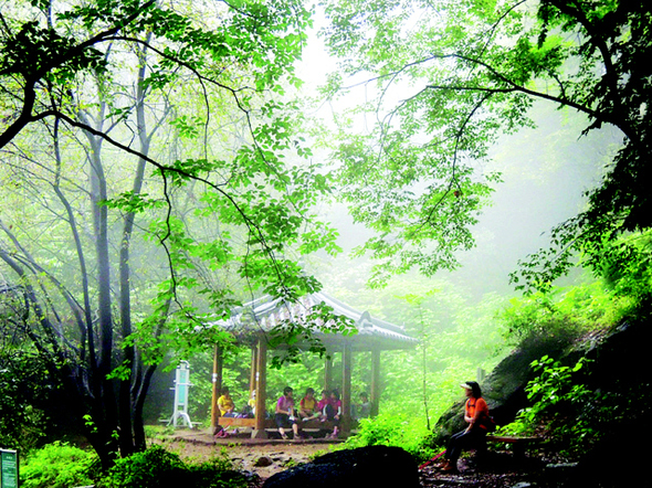 [렌즈세상] 운무 속 산행