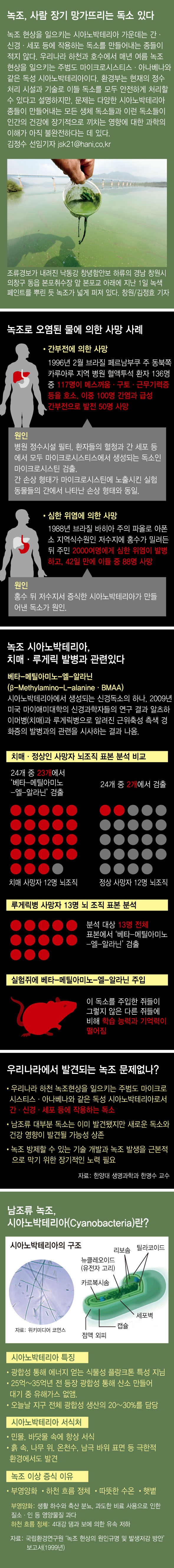 녹조는 재해