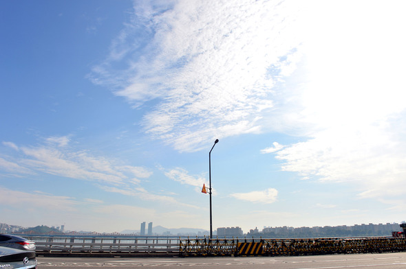 만든곳: 한국 네티즌본부 카페