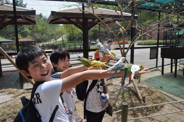 만든곳: Daum카페: 한국 네티즌본부