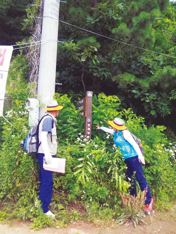 사진 대청호 오백리길 모니터링단