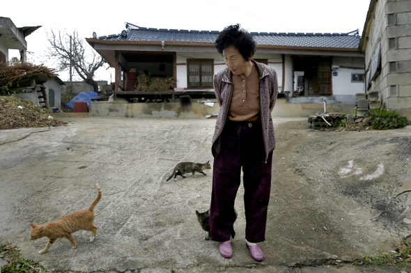 스무 살에 시집와 금강마을에서 55년을 살아온 이정숙 할머니가 지은 지 100년이 넘은 자신의 집 앞에서 함께 사는 고양이들을 둘러보고 있다.