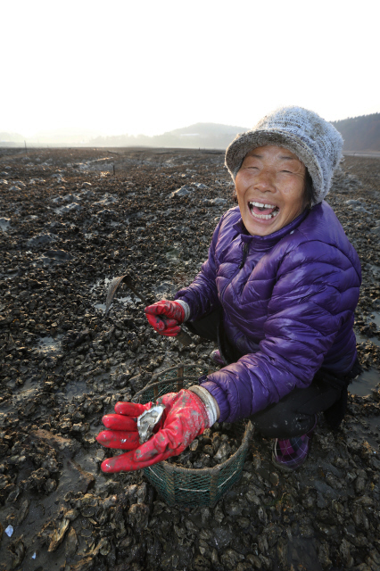 사진이 안보일 때→우측클릭→'사진보기' 클릭. ☞작성: Daum카페: 한국 네티즌본부