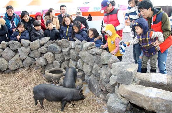 사진이 안보일 때→우측클릭→'사진보기' 클릭. ☞작성: Daum카페: 한국 네티즌본부