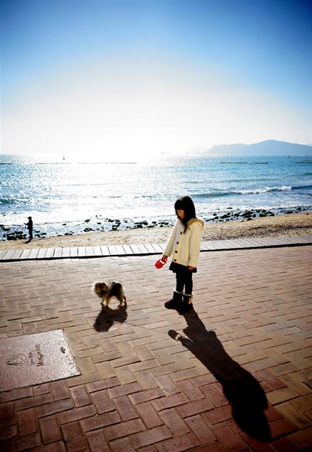 사진이 안보일 때→우측클릭→'사진보기' 클릭. ☞작성: Daum카페: 한국 네티즌본부