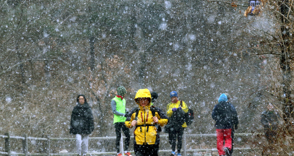 서울과 경기도 일부 지역에서 산발적으로 눈이 내린 12일 오전 서울 남산에서 시민들이 눈을 맞으며 산책을 하고 있다. 기상청은 “월요일인 13일 아침 기온이 크게 떨어져 추울 것”이라고 예보했다. 김봉규 선임기자 bong9@hani.co.kr