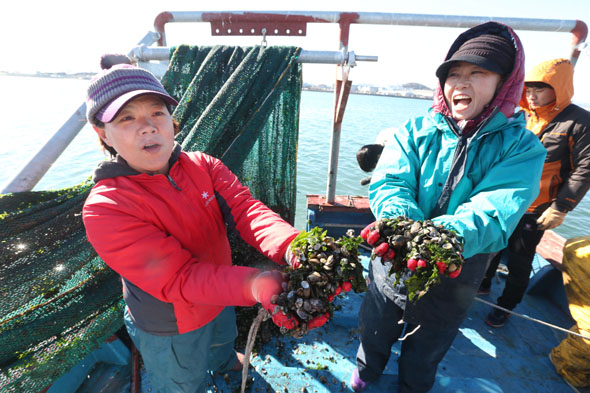 사진이 안보일 때→우측클릭→'사진보기' 클릭. ☞작성: Daum카페: 한국 네티즌본부