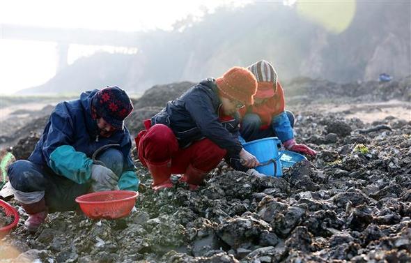 사진이 안보일 때→우측클릭→'사진보기' 클릭. ☞작성: Daum카페: 한국 네티즌본부