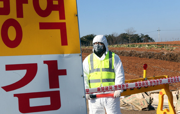 사진이 안보일 때→우측클릭→'사진보기' 클릭. ☞작성: Daum카페: 한국 네티즌본부