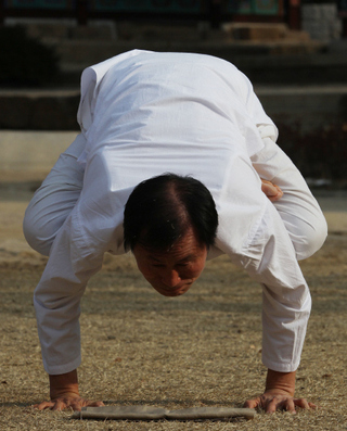 요가의 대중화에 힘쓰고 있는 정강주 한국요가문화협회 회장이 서울 북한산 진관사 경내에서 요가 동작을 보여주고 있다.